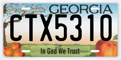 GA license plate CTX5310