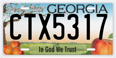GA license plate CTX5317