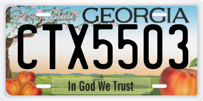 GA license plate CTX5503
