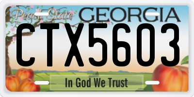 GA license plate CTX5603