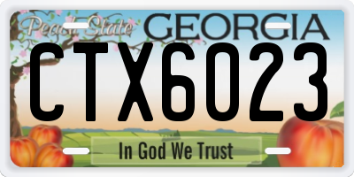 GA license plate CTX6023