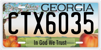 GA license plate CTX6035