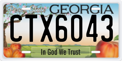 GA license plate CTX6043