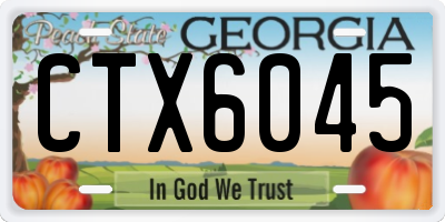 GA license plate CTX6045