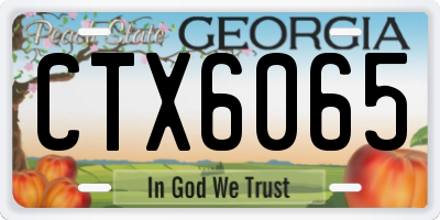 GA license plate CTX6065