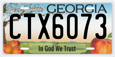GA license plate CTX6073