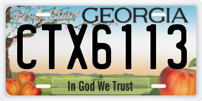 GA license plate CTX6113