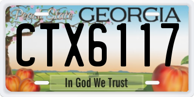 GA license plate CTX6117