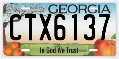 GA license plate CTX6137