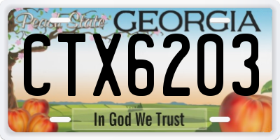 GA license plate CTX6203