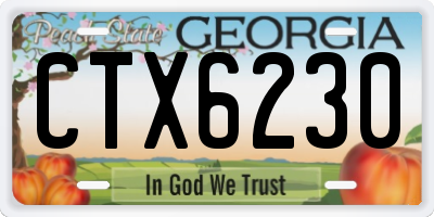 GA license plate CTX6230