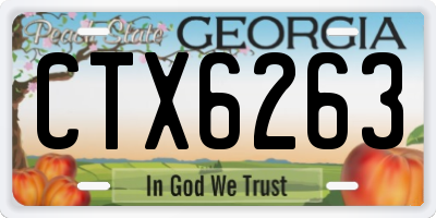 GA license plate CTX6263