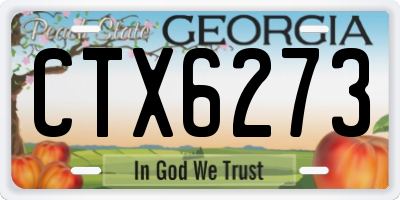 GA license plate CTX6273