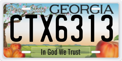 GA license plate CTX6313
