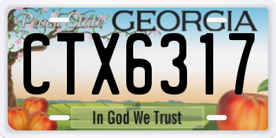 GA license plate CTX6317
