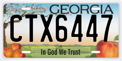 GA license plate CTX6447