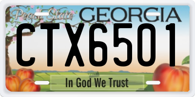 GA license plate CTX6501