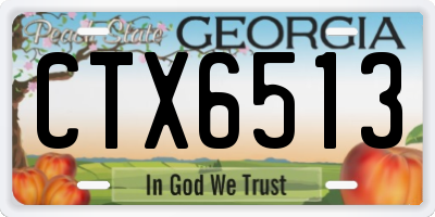 GA license plate CTX6513