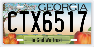 GA license plate CTX6517