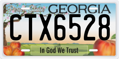 GA license plate CTX6528