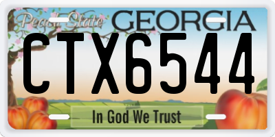 GA license plate CTX6544