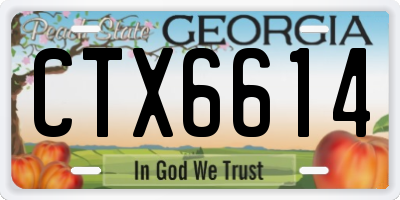 GA license plate CTX6614