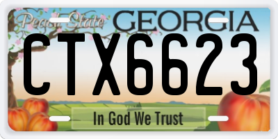 GA license plate CTX6623