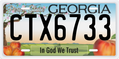 GA license plate CTX6733