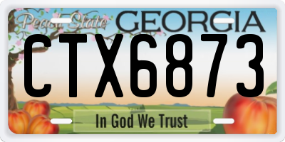 GA license plate CTX6873
