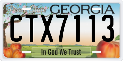 GA license plate CTX7113