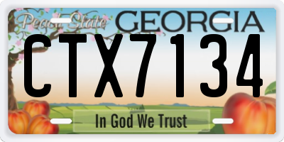 GA license plate CTX7134