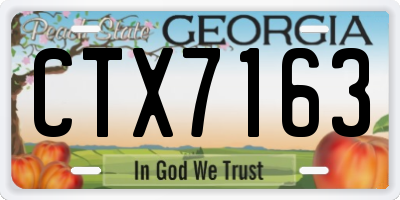 GA license plate CTX7163
