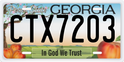 GA license plate CTX7203
