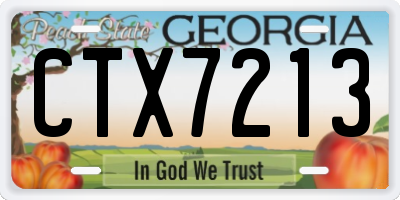 GA license plate CTX7213