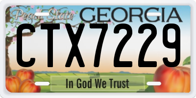 GA license plate CTX7229