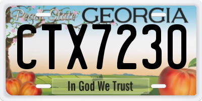 GA license plate CTX7230
