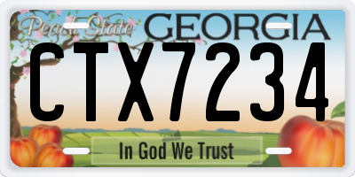 GA license plate CTX7234