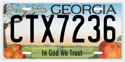 GA license plate CTX7236