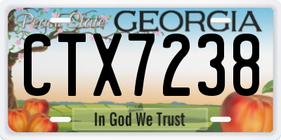 GA license plate CTX7238