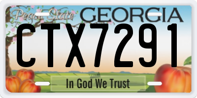 GA license plate CTX7291