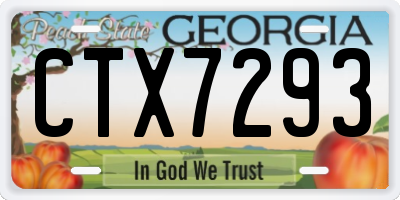 GA license plate CTX7293