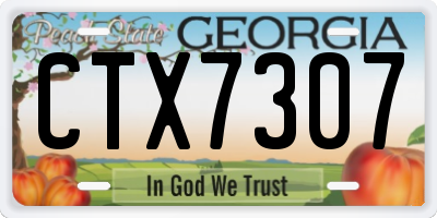 GA license plate CTX7307