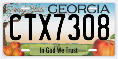 GA license plate CTX7308
