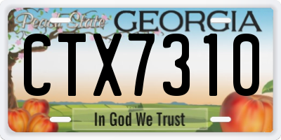 GA license plate CTX7310