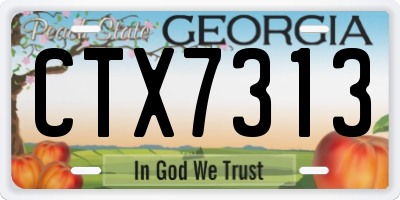 GA license plate CTX7313