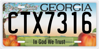 GA license plate CTX7316