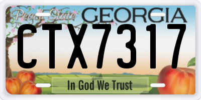 GA license plate CTX7317