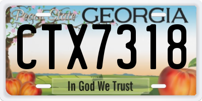 GA license plate CTX7318