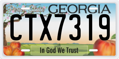 GA license plate CTX7319