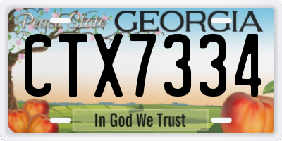 GA license plate CTX7334
